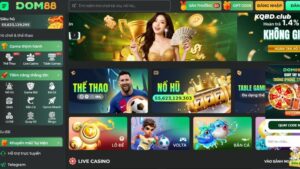 Giới thiệu tổng quan về DOM88