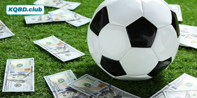 Bảng kèo có các thành phần nào bạn có biết?