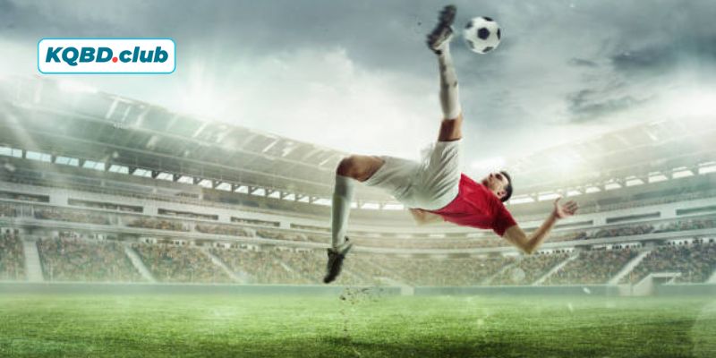 Đọc kèo cực nhanh chỉ trong 1 phút